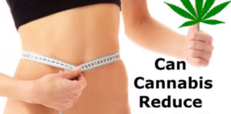 Cannabis For Losing Weight