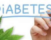 Cannabis Curing Diabetes